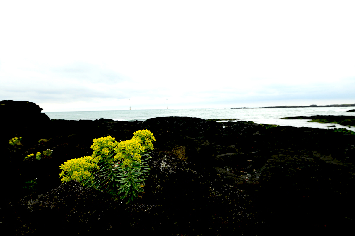 DSC_5804sss.jpg