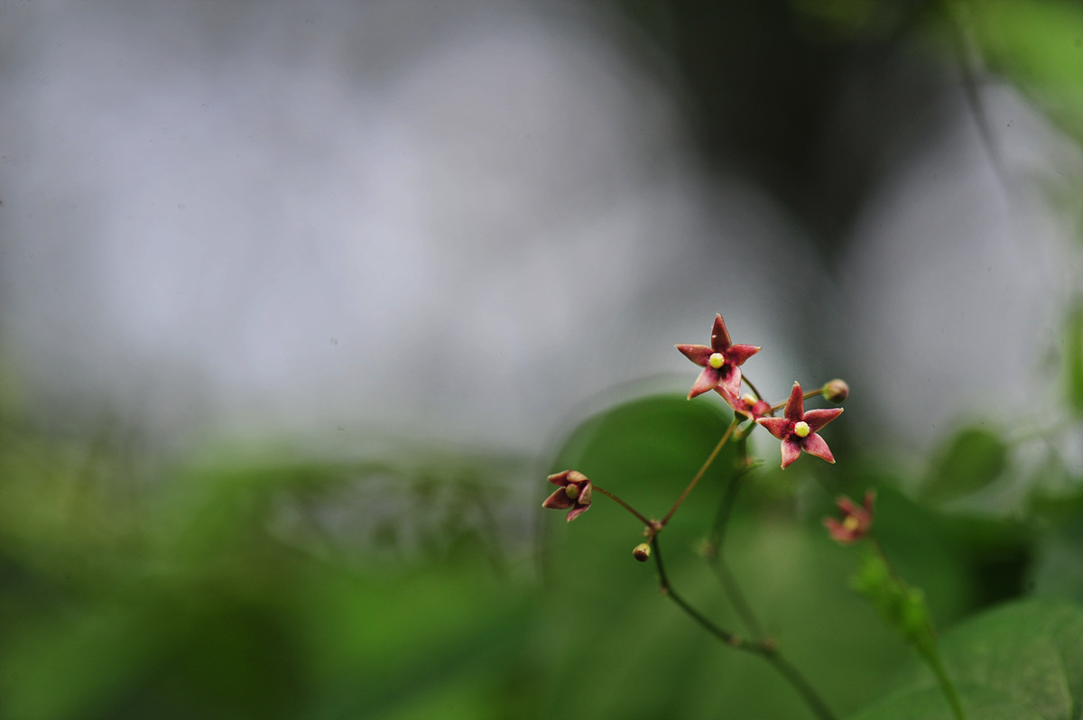 DSC_8784ss.jpg