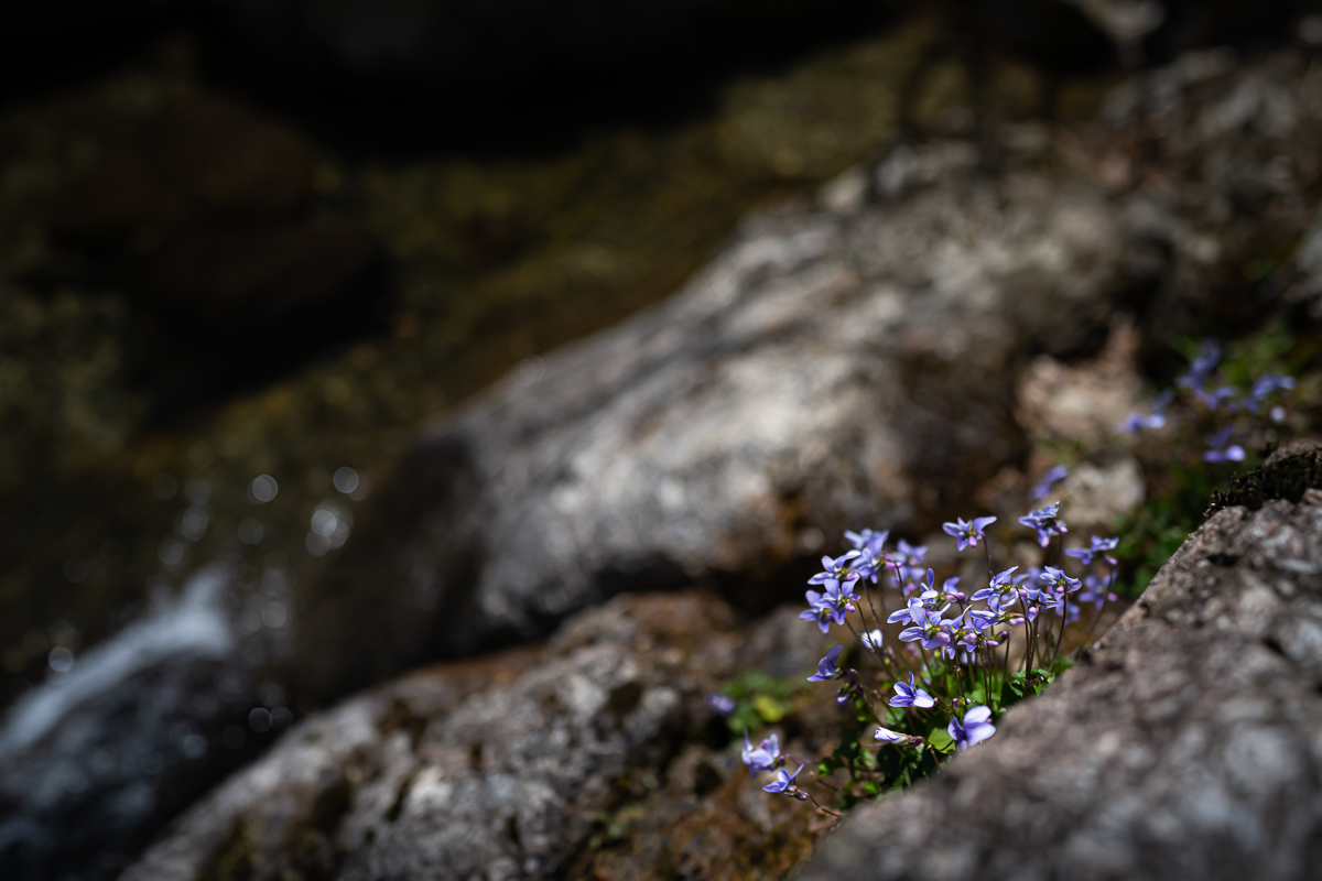 DSC_0402.jpg