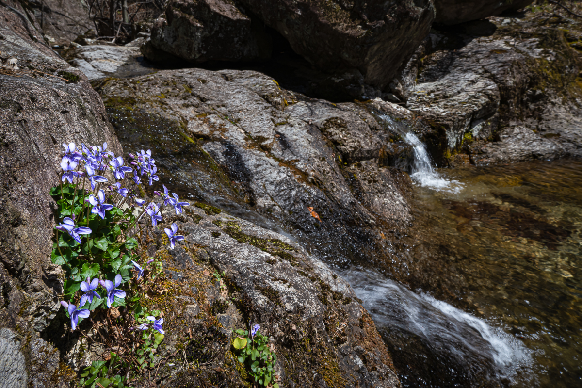 DSC_0351.jpg