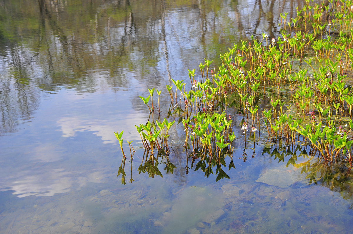 DSC_7113s.jpg