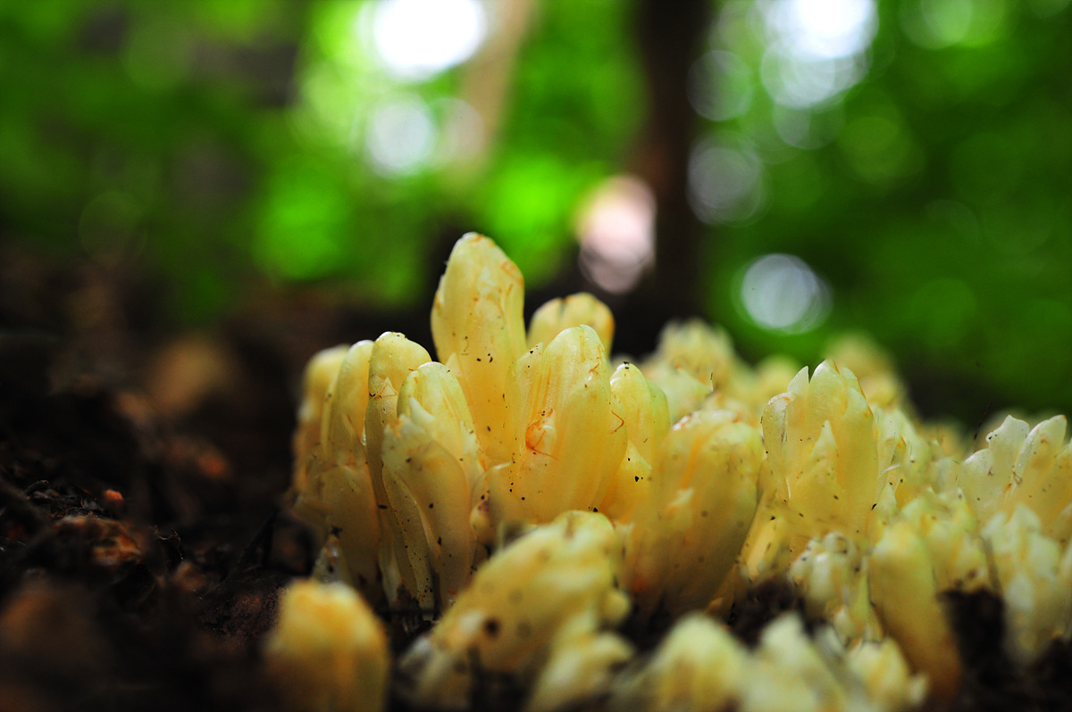 DSC_4355sss.jpg