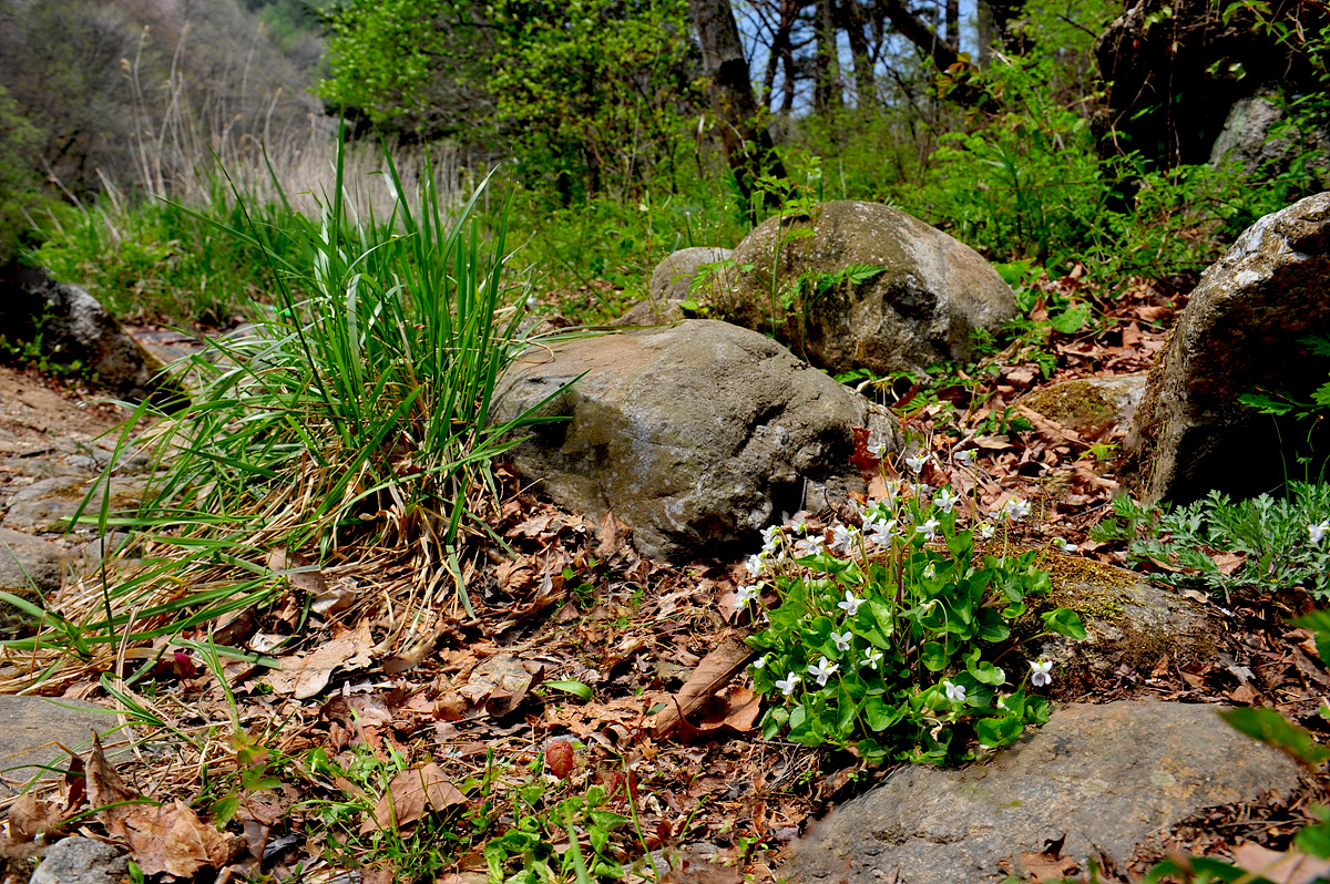 DSC_6777s.jpg