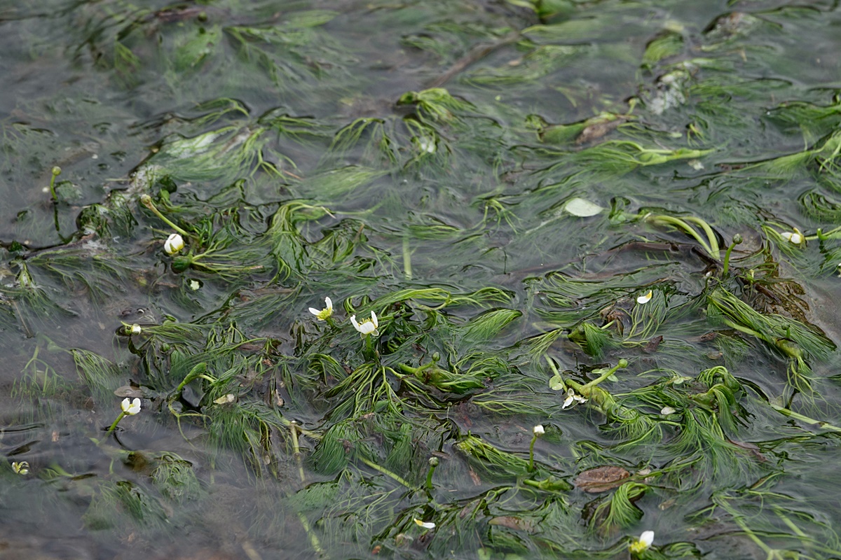 25-11-08 (225)-1.JPG