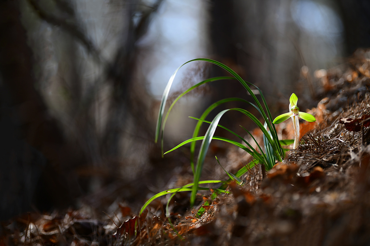 DSC_5652aaa.jpg