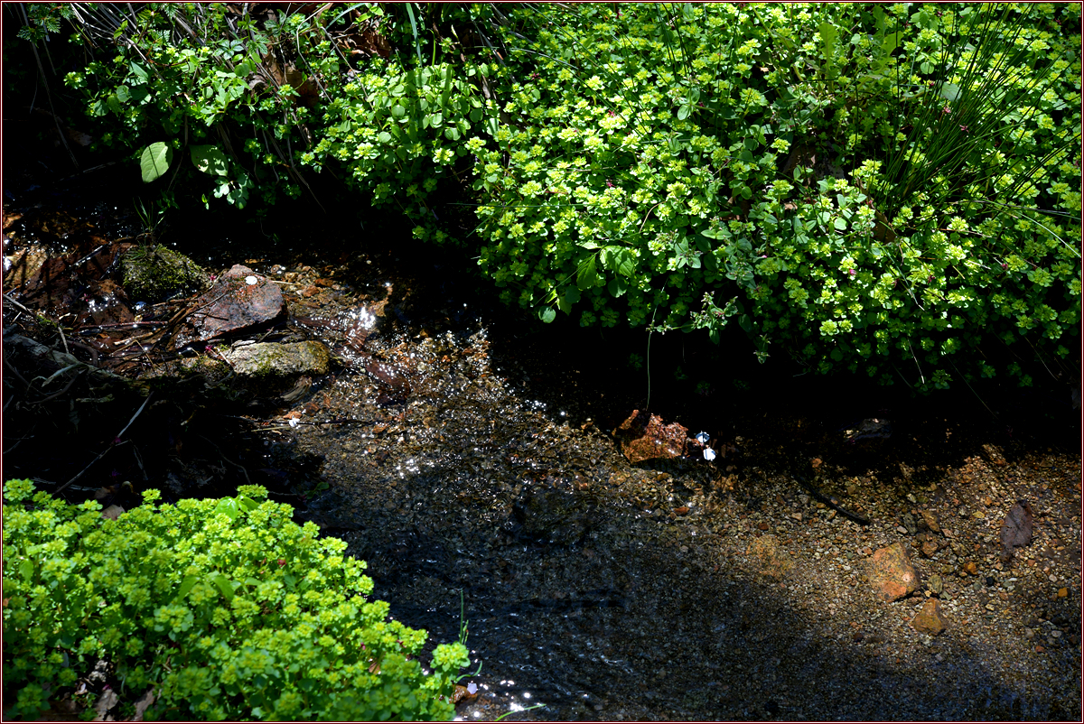 DSC_0310.jpg