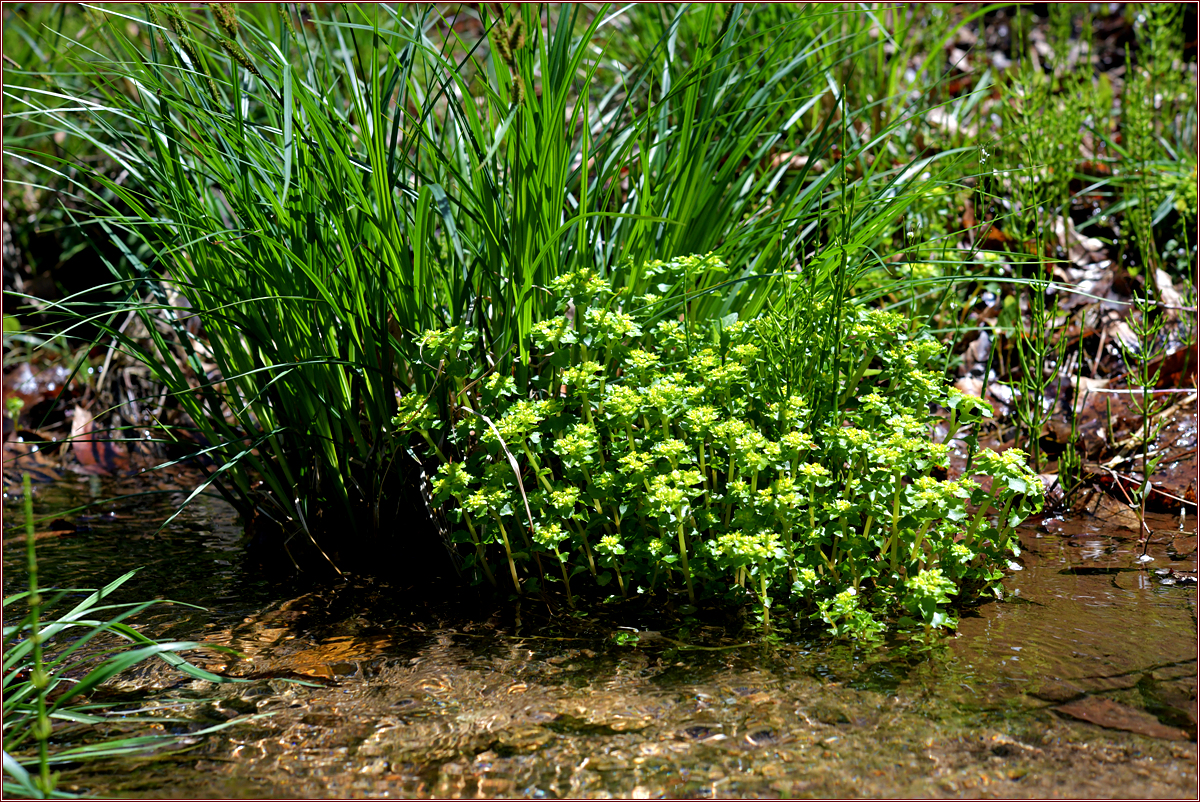 DSC_0317.jpg