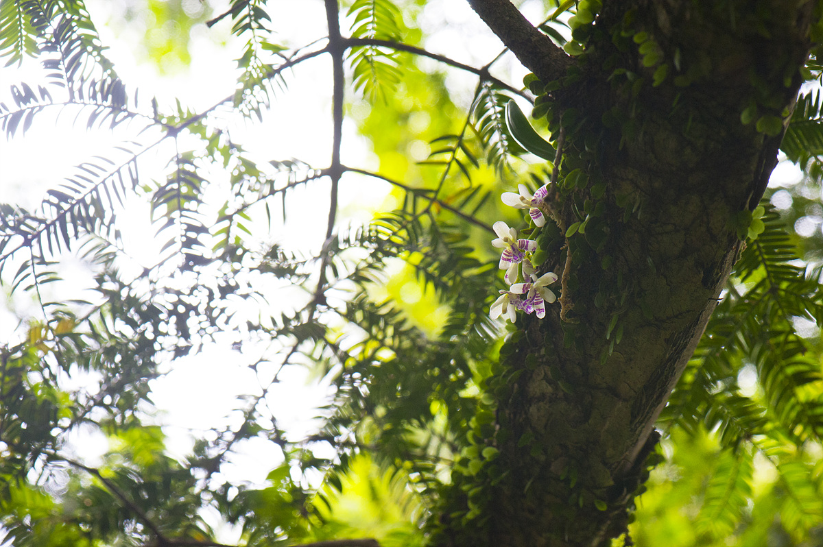DSC_0890ss.jpg