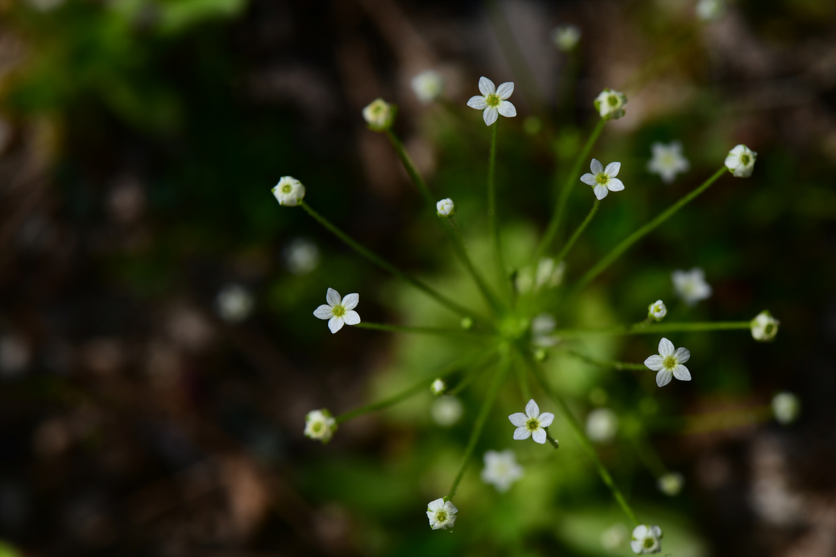 DSC_1630.jpg