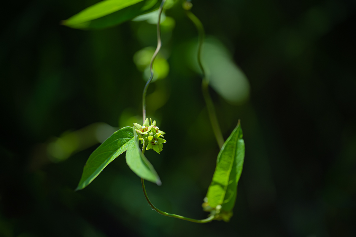 DSC_3954.jpg