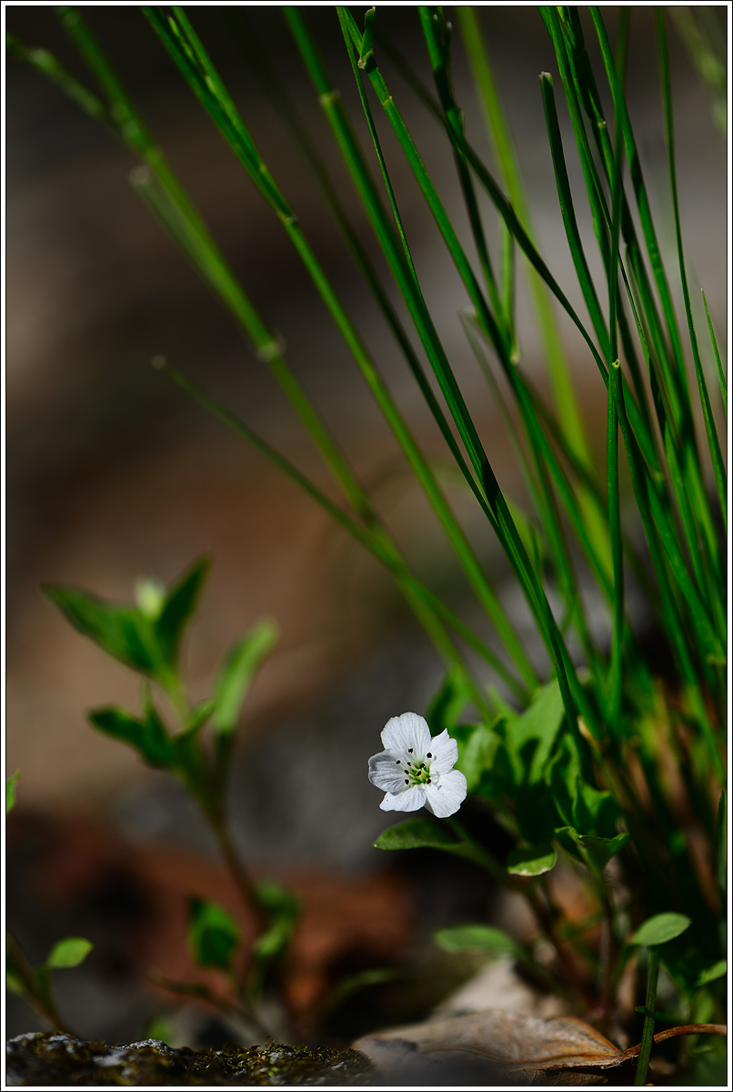 CJH_8955 완.jpg