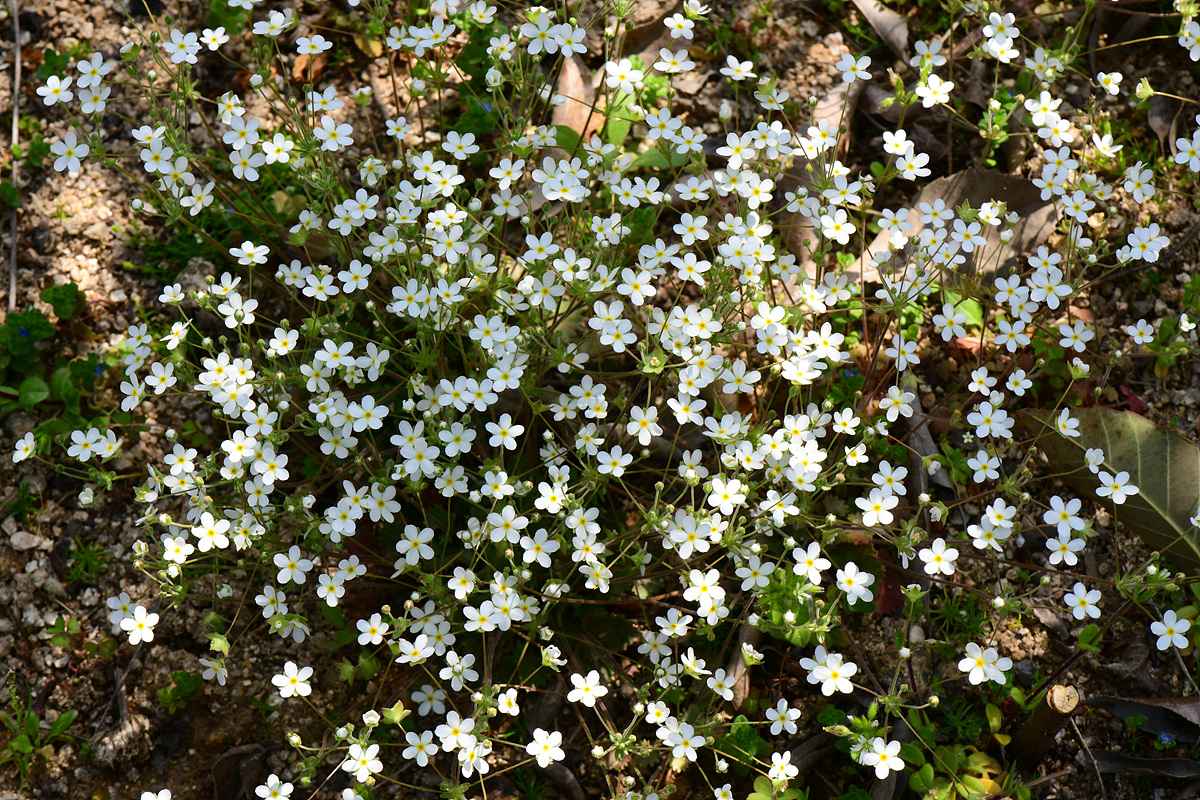 DSC_1103.jpg