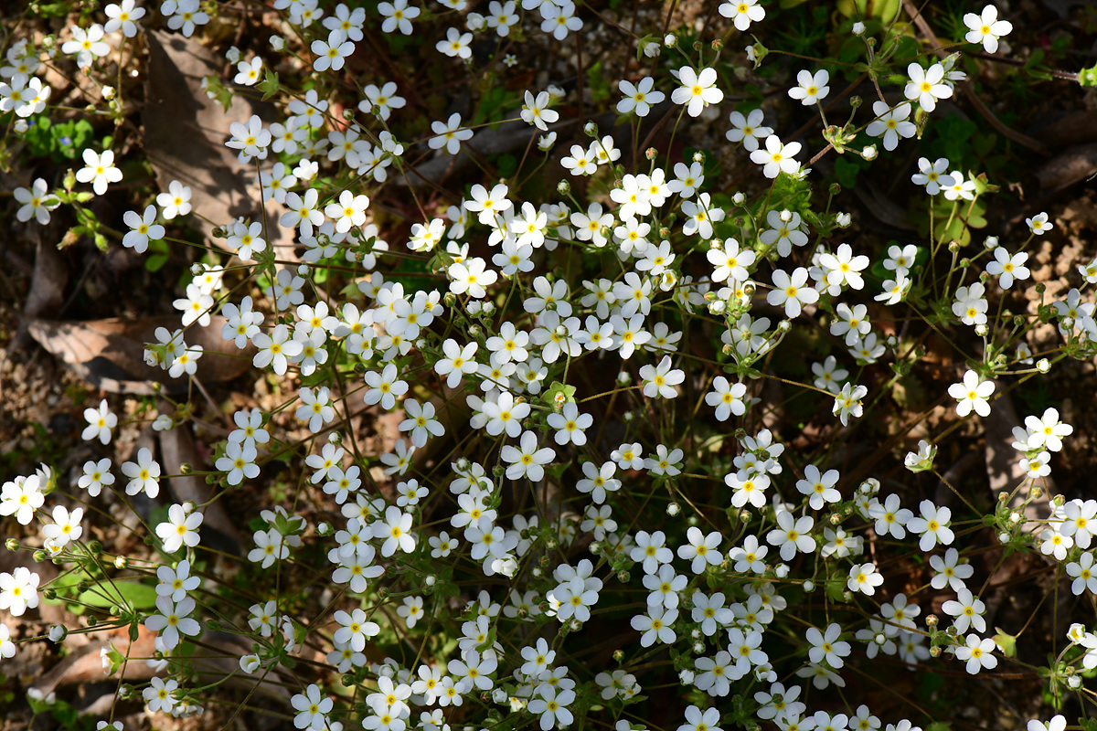 DSC_1105.jpg