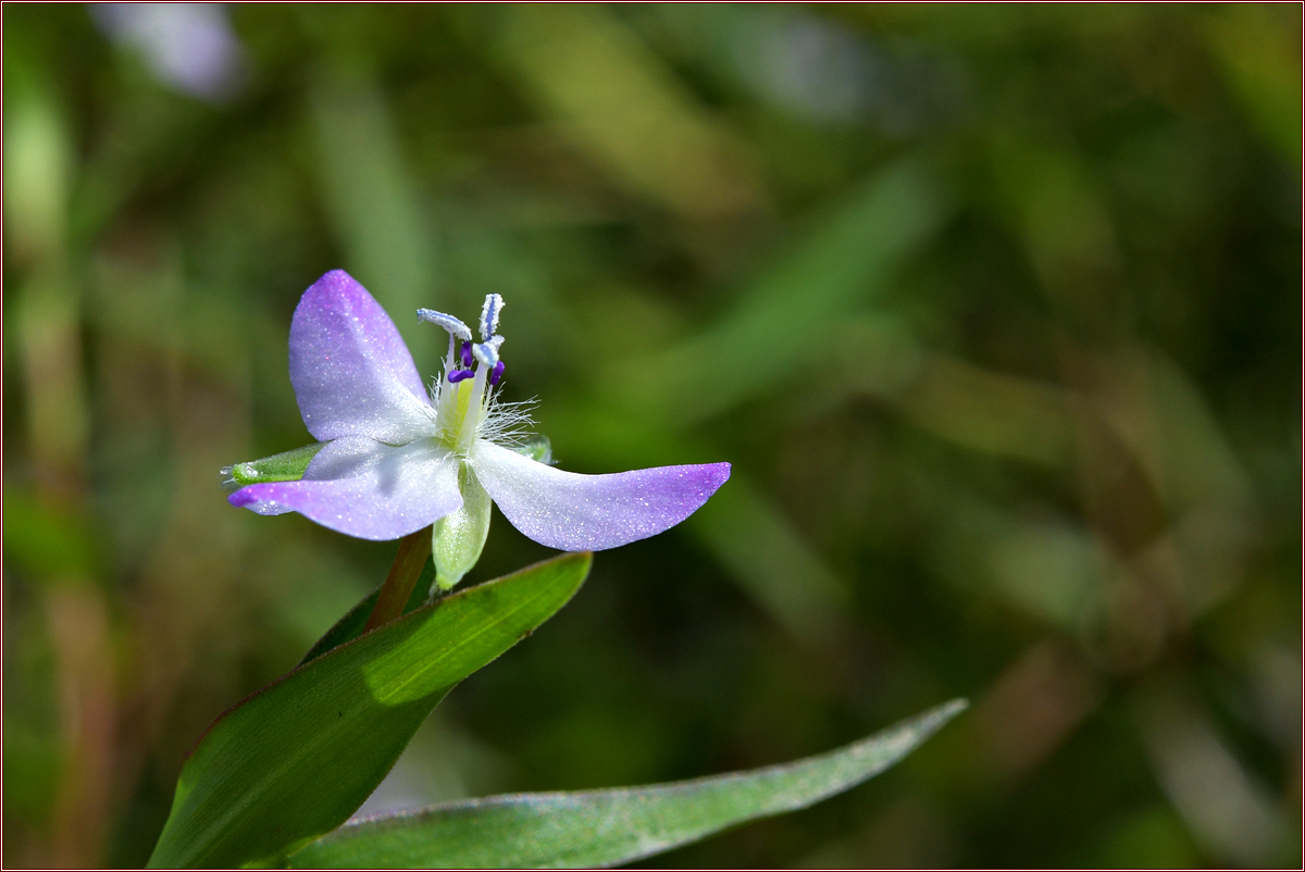 DSC_5622.jpg