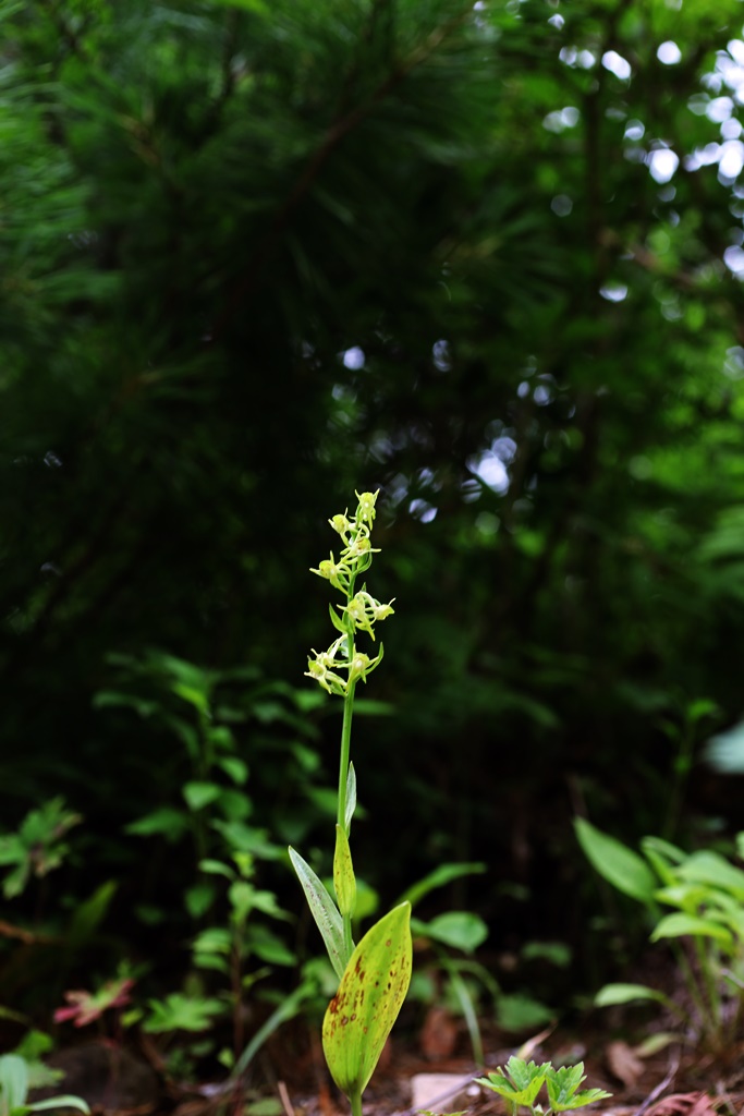 20-07-12 (329)-1.JPG