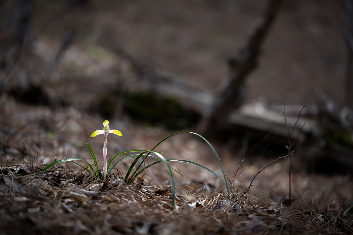 DSC_9899.jpg