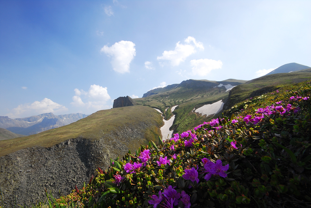 DSC_0145ss.jpg