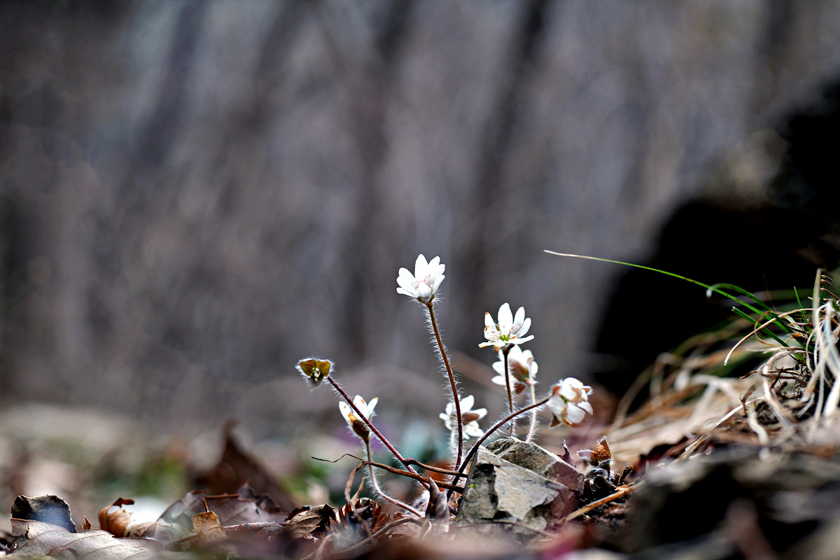 DSC_3153.jpg