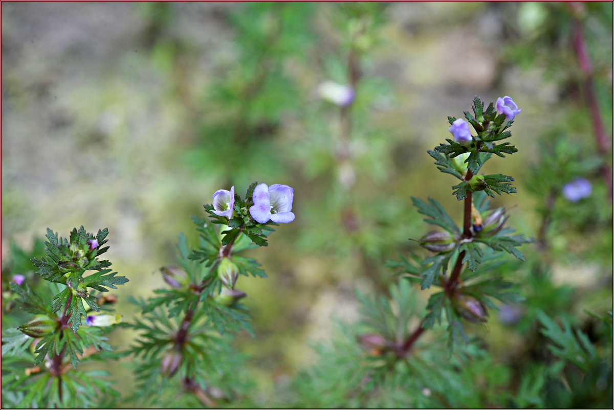 DSC_9876.jpg