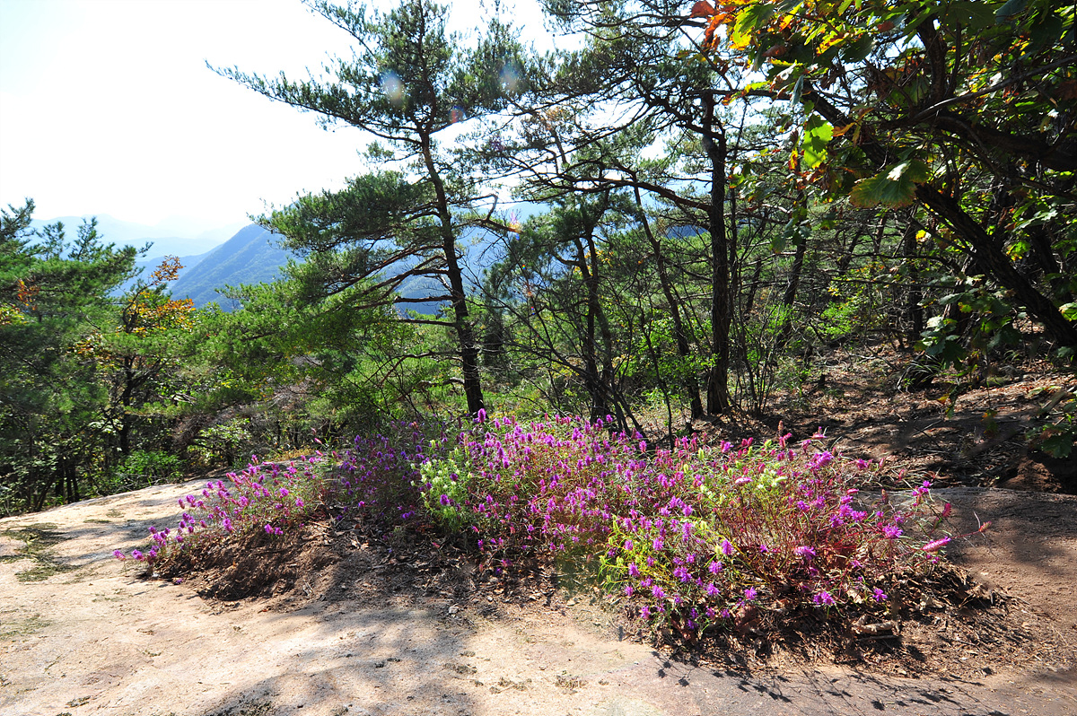 DSC_1412c.jpg