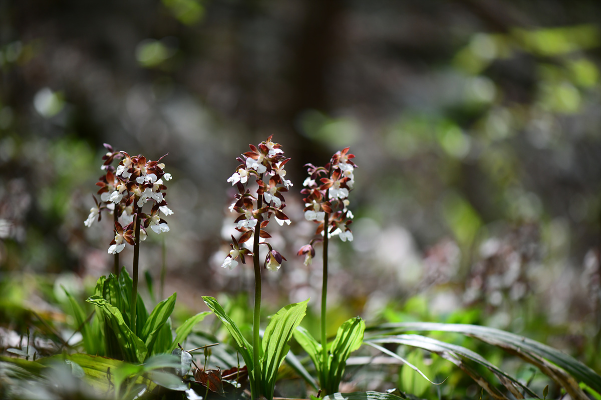 DSC_4284.jpg