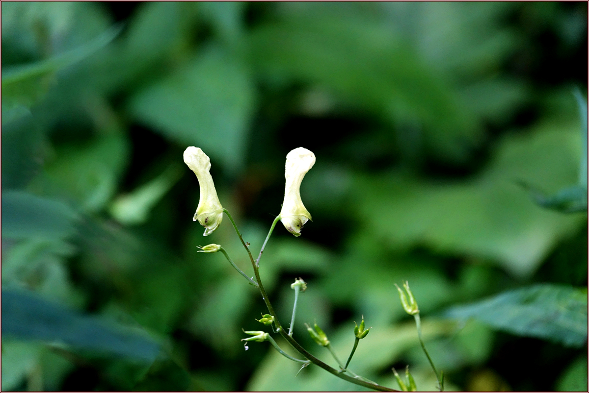 KHS03067.jpg