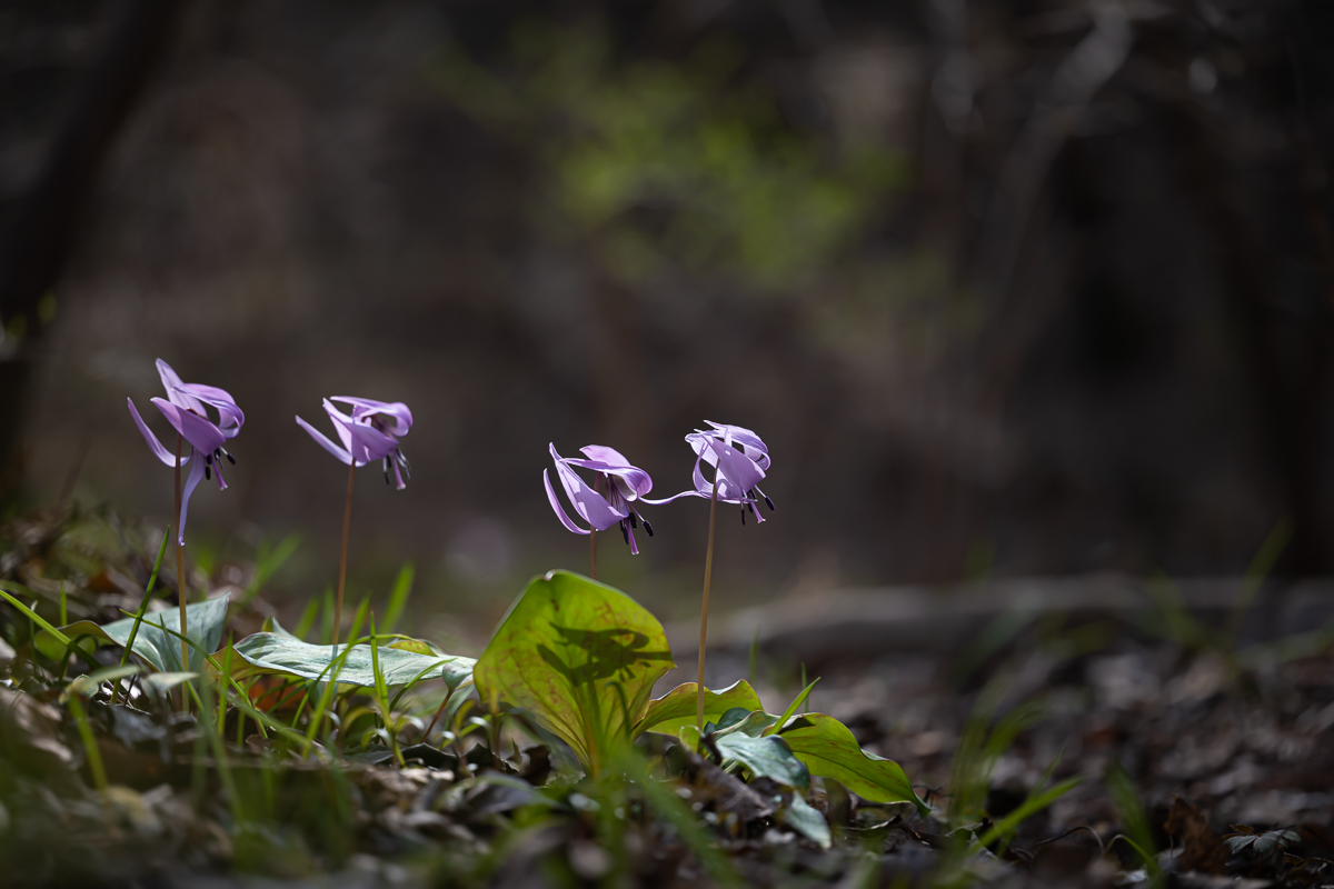 DSC_8902.jpg