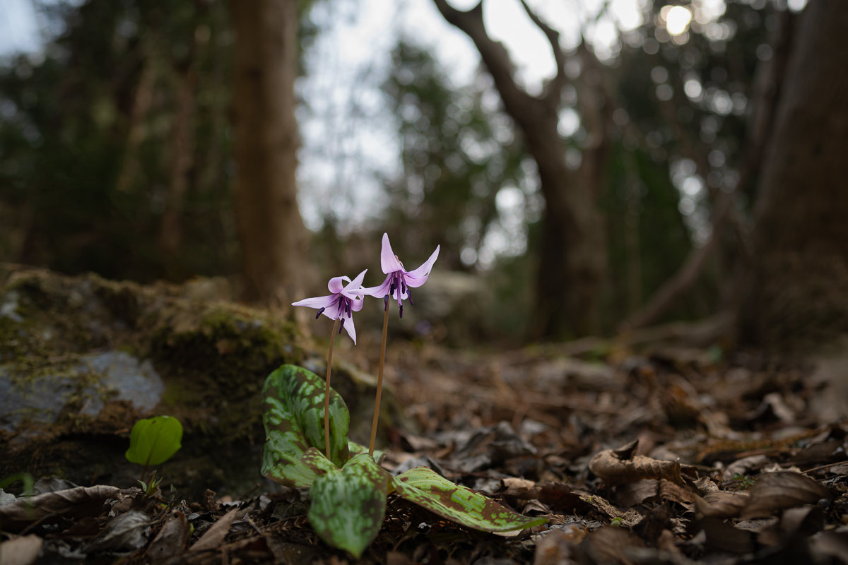 DSC_8969.jpg