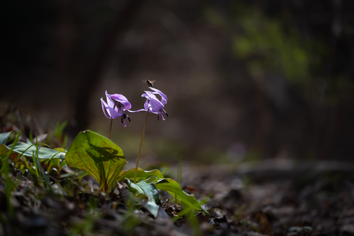 DSC_8900.jpg