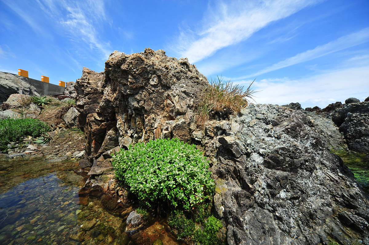 DSC_0729ccc.jpg