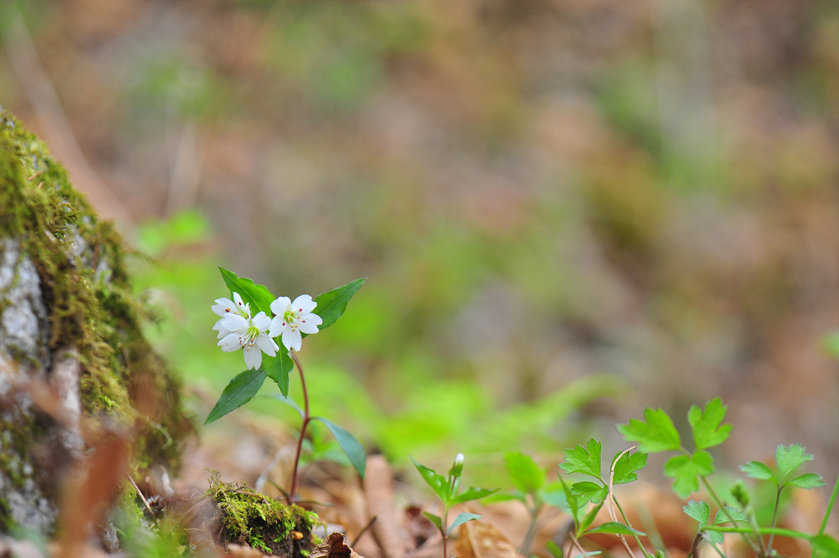 DSC_6165.jpg