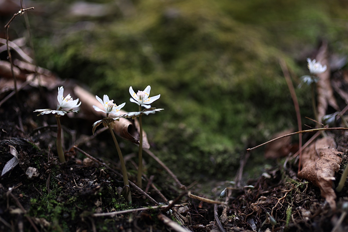 25-03-13 (62)-1.JPG