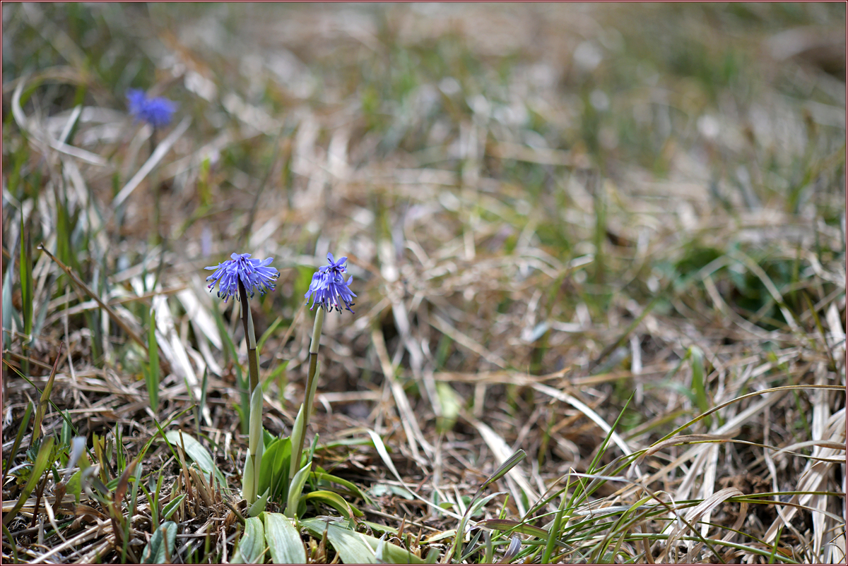 DSC_0801.jpg