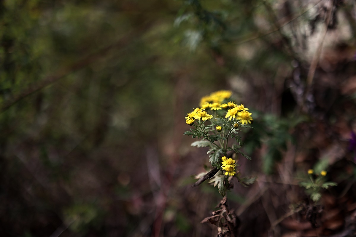 24-10-29 (75)-1.JPG