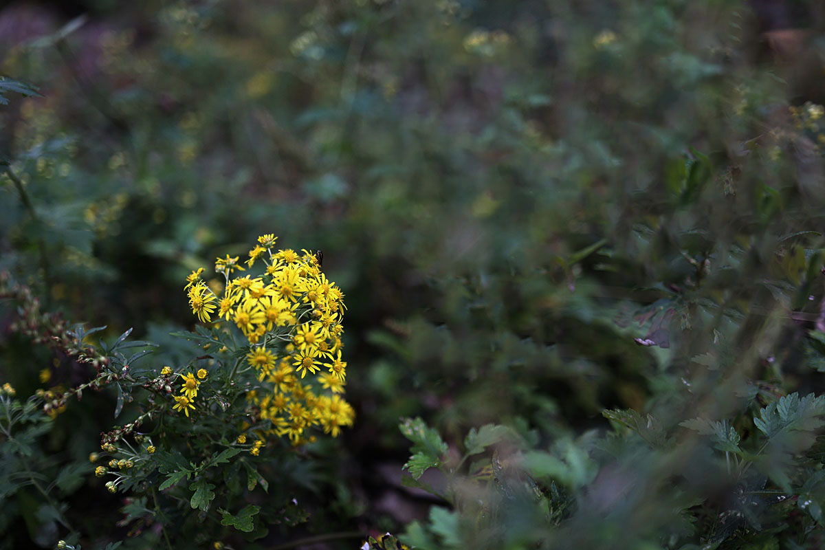 24-10-29 (121)-1.JPG