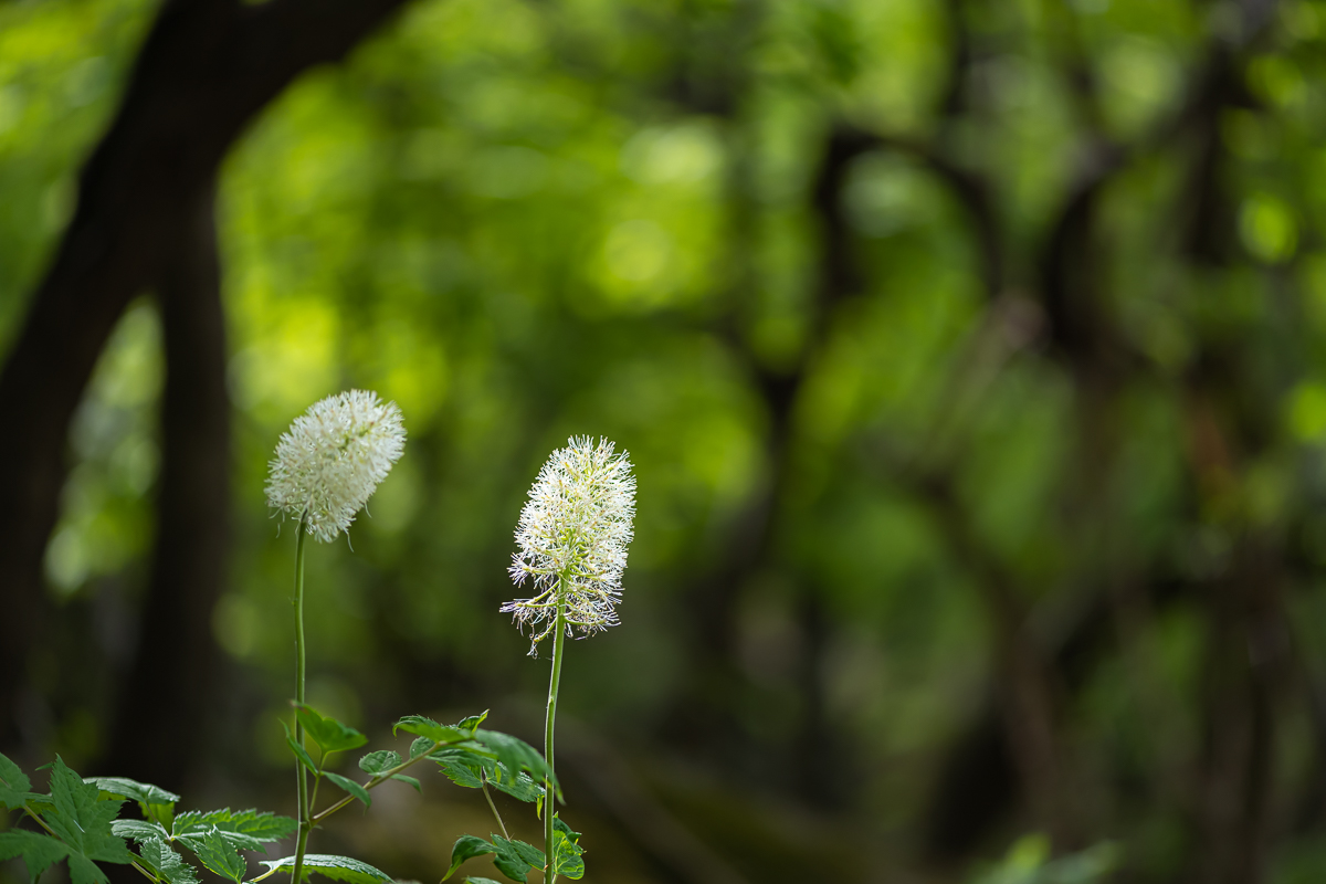 DSC_6140.jpg