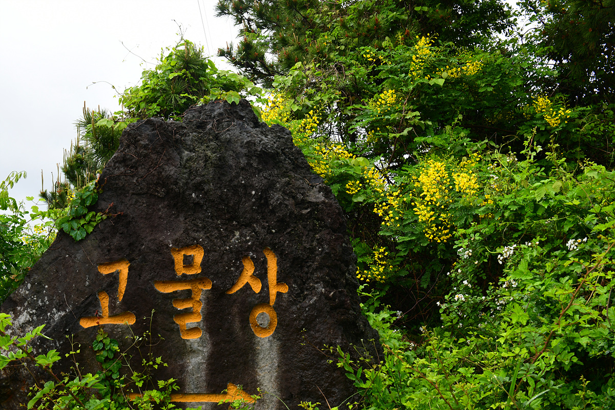 DSC_5611.jpg