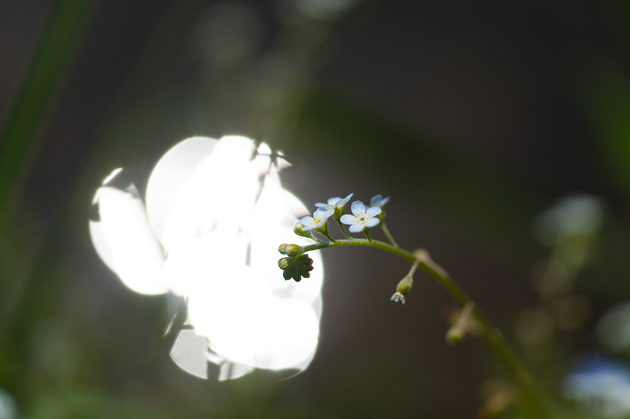 _DSC5857 복사.jpg