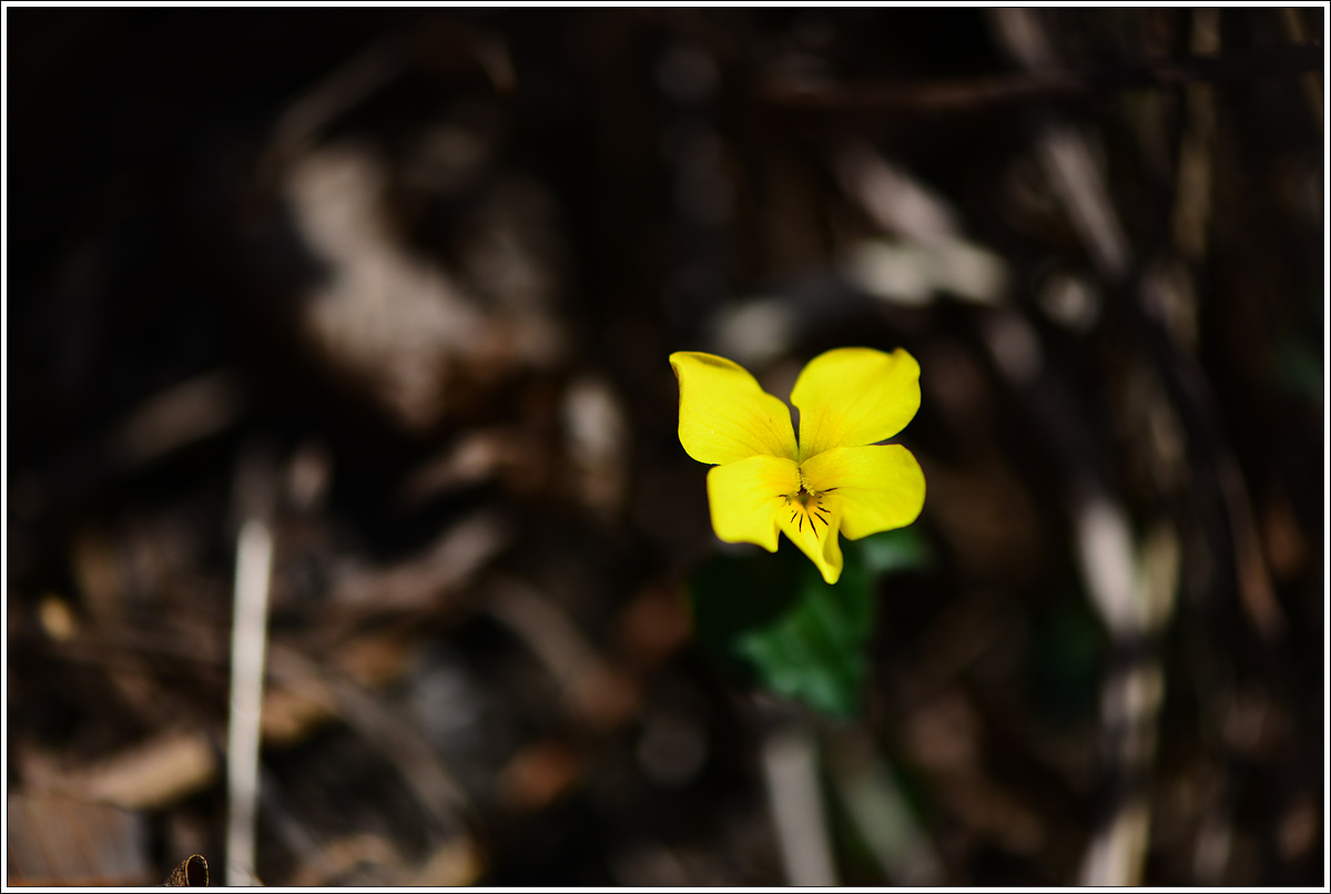 CJH_7800 완.jpg