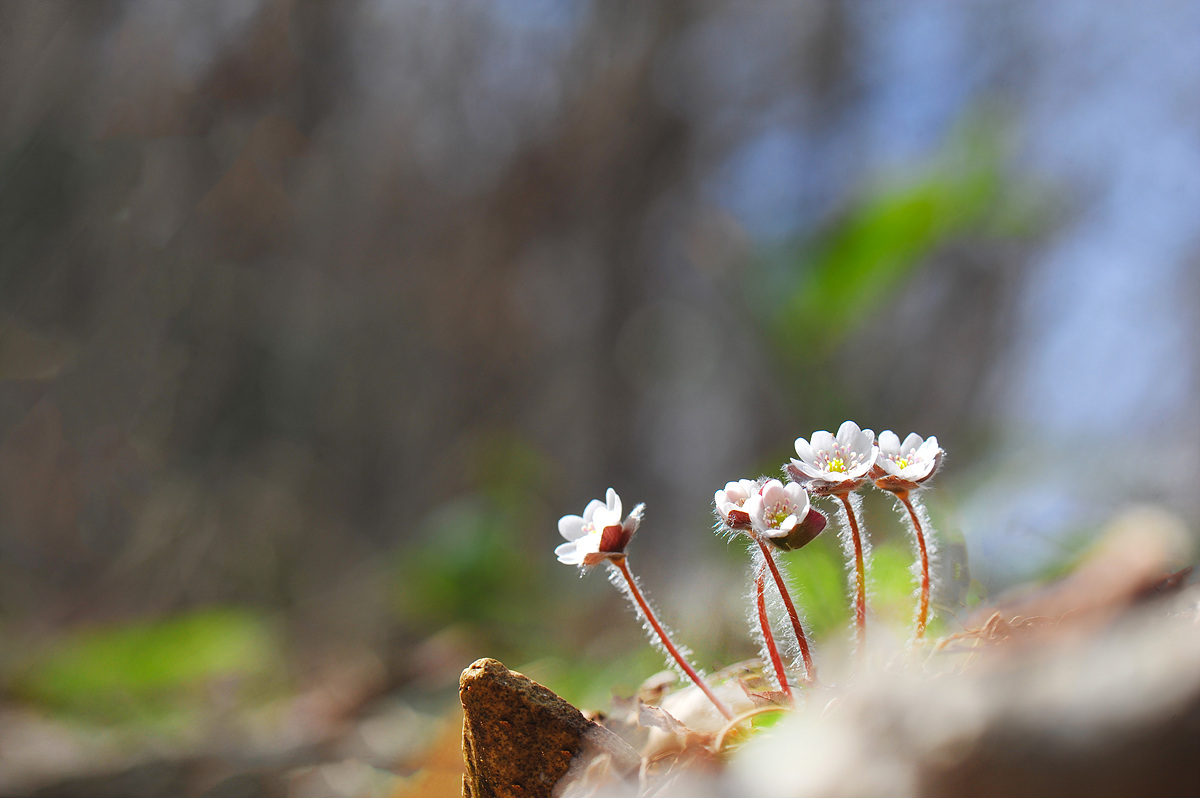 DSC_2880aaa.jpg