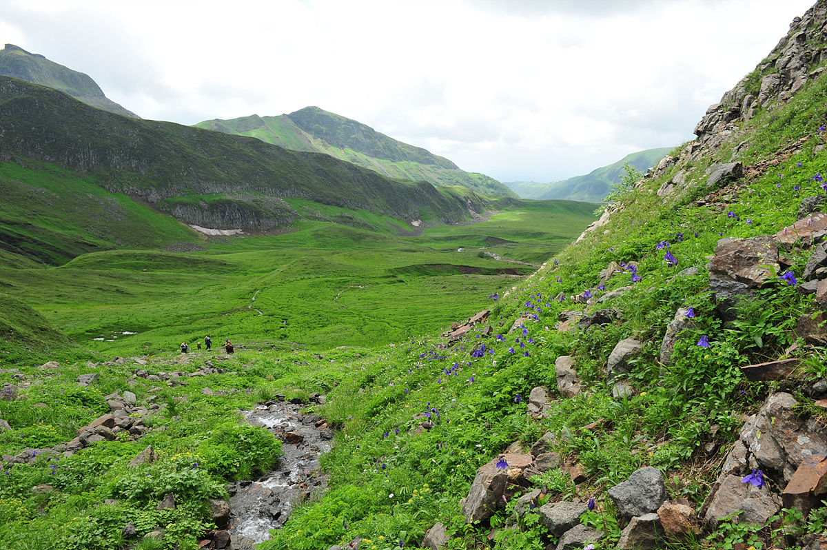 DSC_6765.jpg