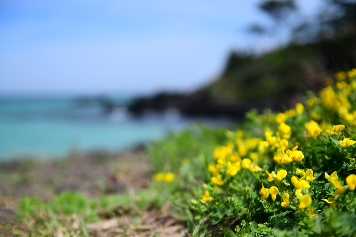 DSC_4577sss.jpg