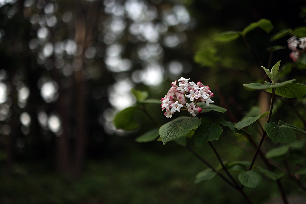 25-04-20 (131)-1.JPG