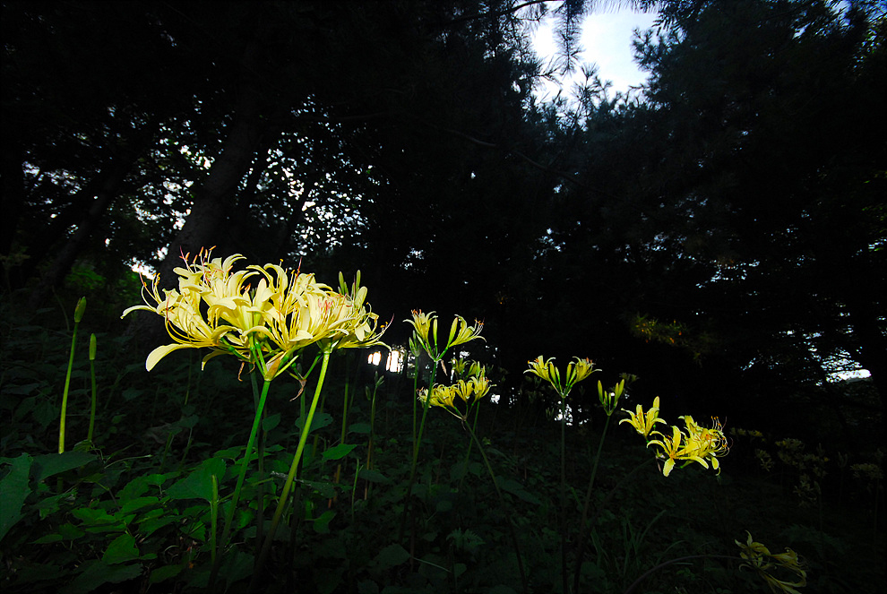 0808024o 683aa.jpg