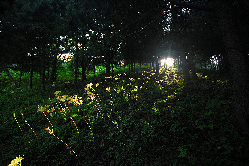 0808024o 589aa.jpg