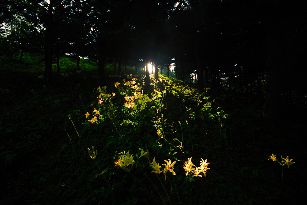 0808024o 556aa.jpg