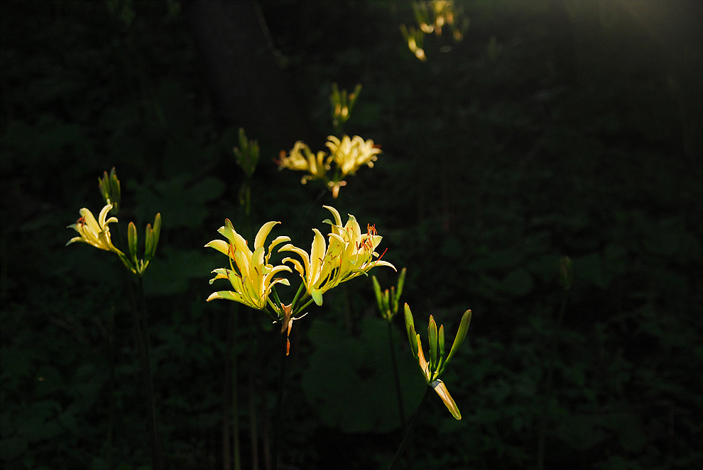 0808024o 422aa.jpg