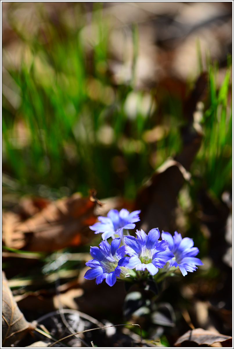 CJH_7808 완.jpg