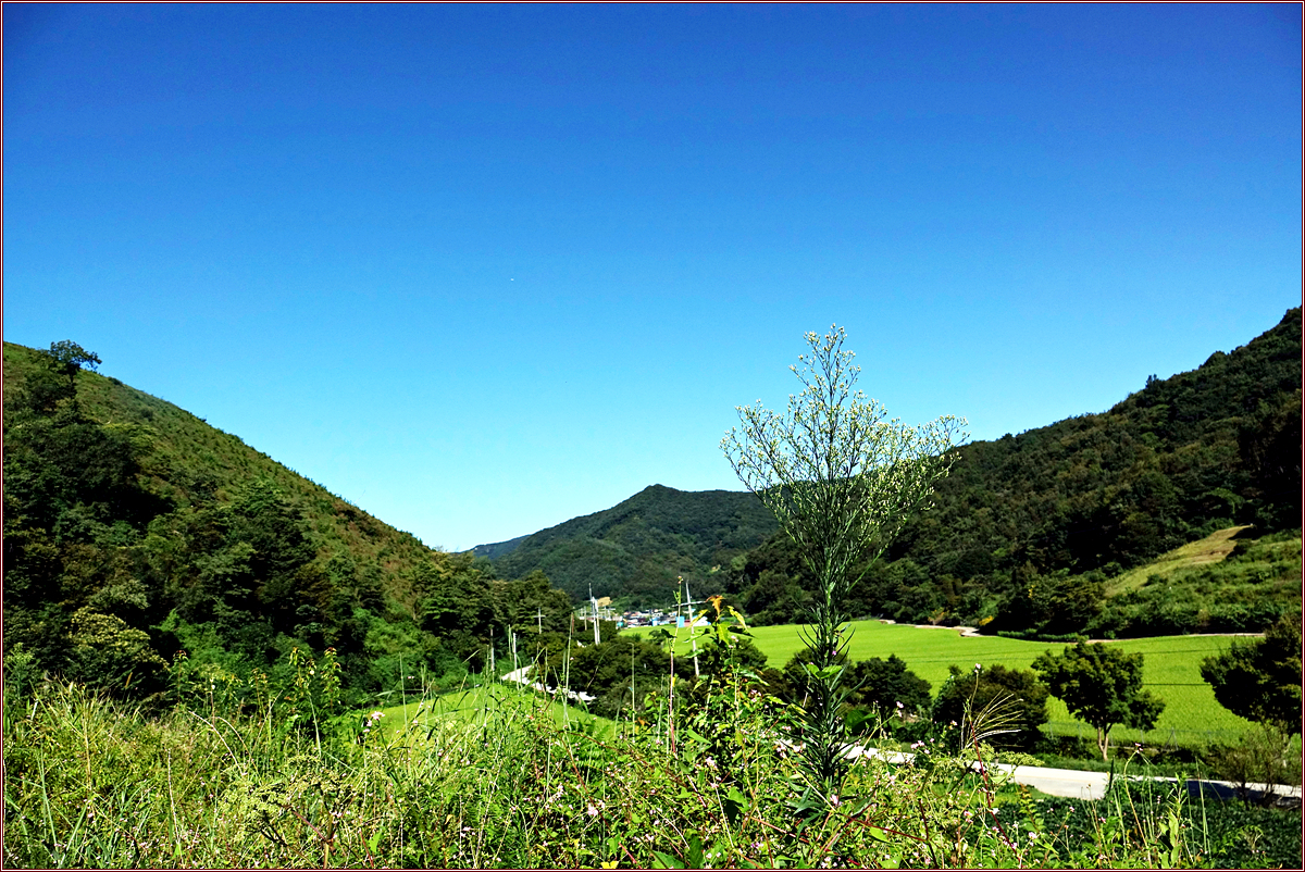 KHS04370.jpg