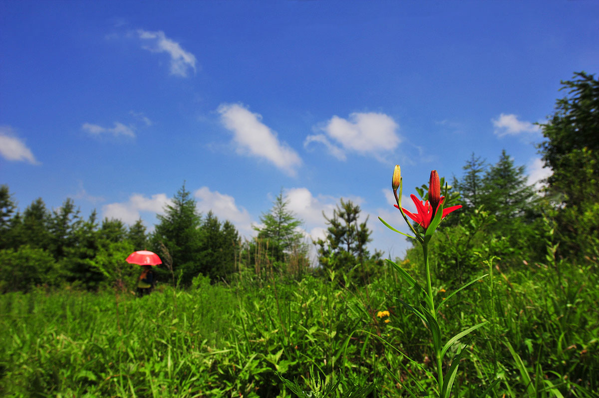 DSC_4745s.jpg